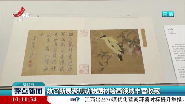 故宫新展聚焦动物题材绘画领域丰富收藏