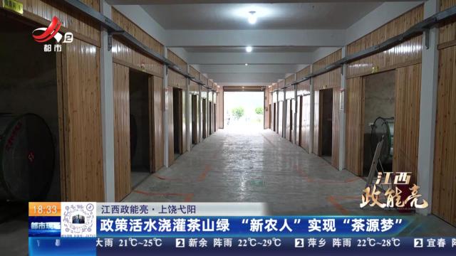 【江西政能亮】上饶弋阳：政策活水浇灌茶山绿 “新农人”实现“茶源梦”