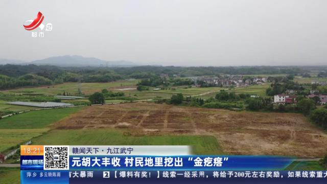 都市现场20250526