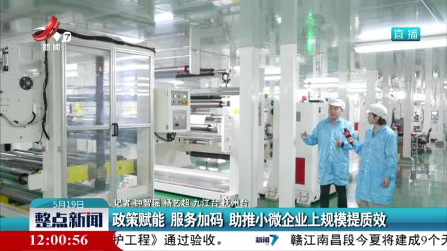 政府赋能 服务加码 助推小微企业上规模提质效