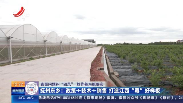 【直面问题纠“四风” 敢作善为抓落实】抚州东乡：政策+技术+销售 打造江西“莓”好样板