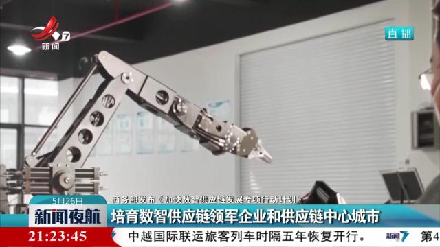 【商务部发布《加快数智供应链发展专项行动计划》】培育数智供应链领军企业和供应链中心城市