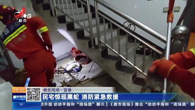 【救在现场】宜春：民宅惊现黑蛇 消防紧急救援