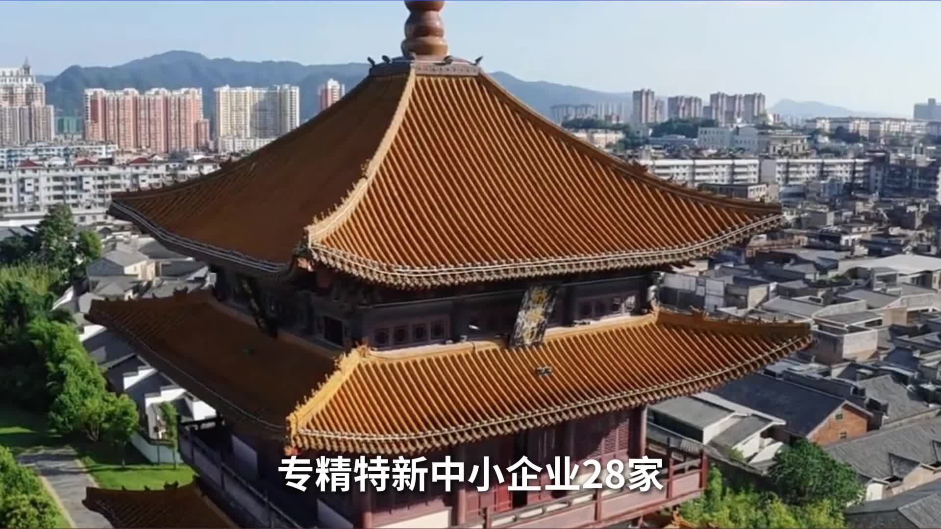 实现航空营收433亿元，景德镇2024年集聚航空企业110家，直升机/无人机整机企业 12 家