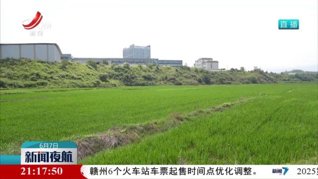 【中国梦·劳动美】韩纯：带领更多的老乡勤劳致富