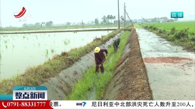强化水稻田管 科学防控助增收