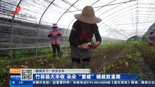 【赣闻天下】吉安永丰：竹荪菇大丰收 朵朵“雪裙”铺就致富路