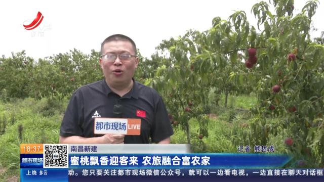 南昌新建：蜜桃飘香迎客来 农旅融合富农家