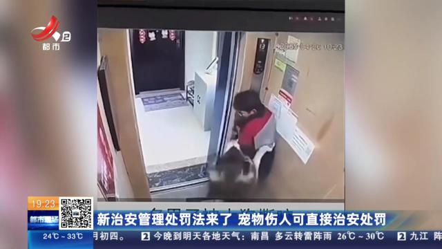 新治安管理处罚法来了 宠物伤人可直接治安处罚