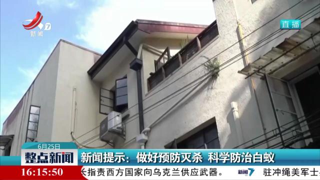 新闻提示：做好预防灭杀 科学防治白蚁