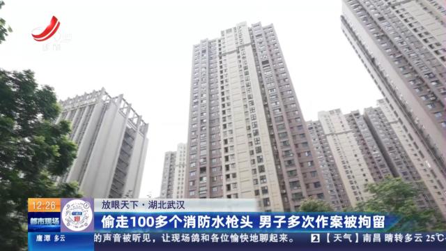 【放眼天下】湖北武汉：偷走100多个消防水枪头 男子多次作案被拘留