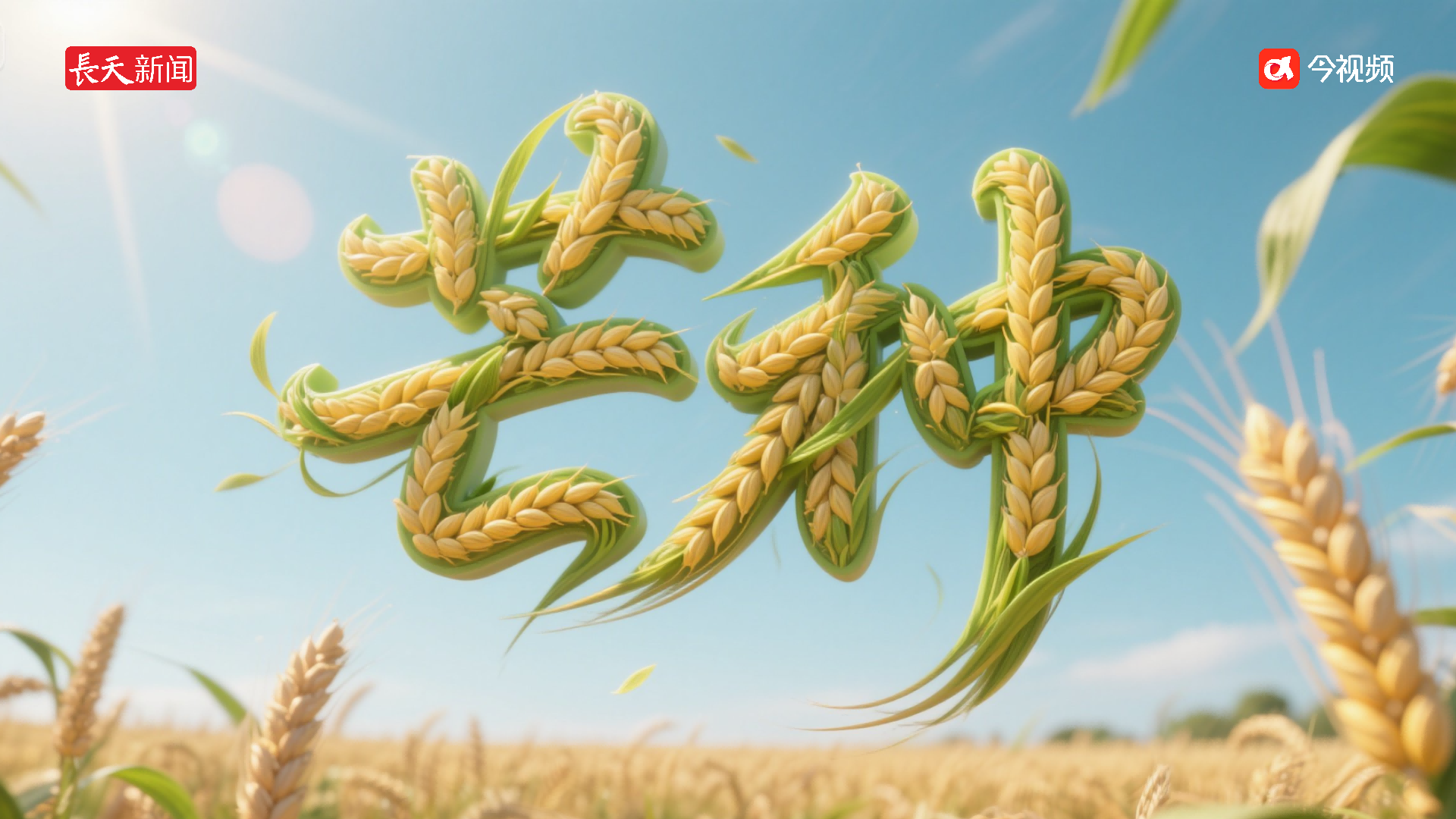 芒种与高考同行，播种与收获同在，祝每位考生“芒”有所得，不负“种”望