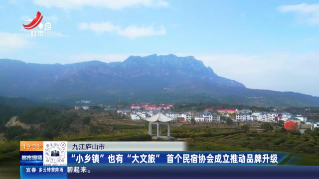 九江庐山市：“小乡镇”也有“大文旅” 首个民宿协会成立推动品牌升级