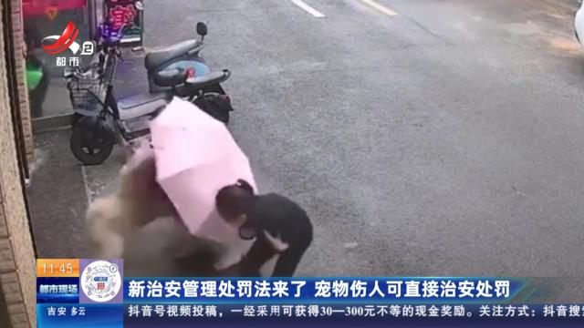 新治安管理处罚法来了 宠物伤人可直接治安处罚