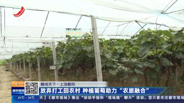 【赣闻天下】上饶鄱阳：放弃打工回农村 种植葡萄助力“农旅融合”