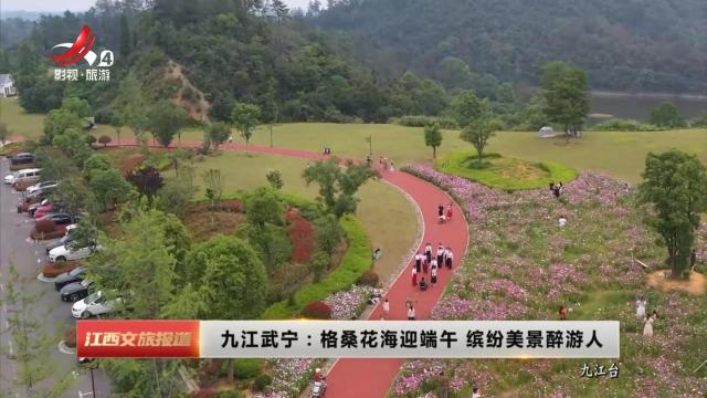 九江武宁：格桑花海迎端午 缤纷美景醉游人