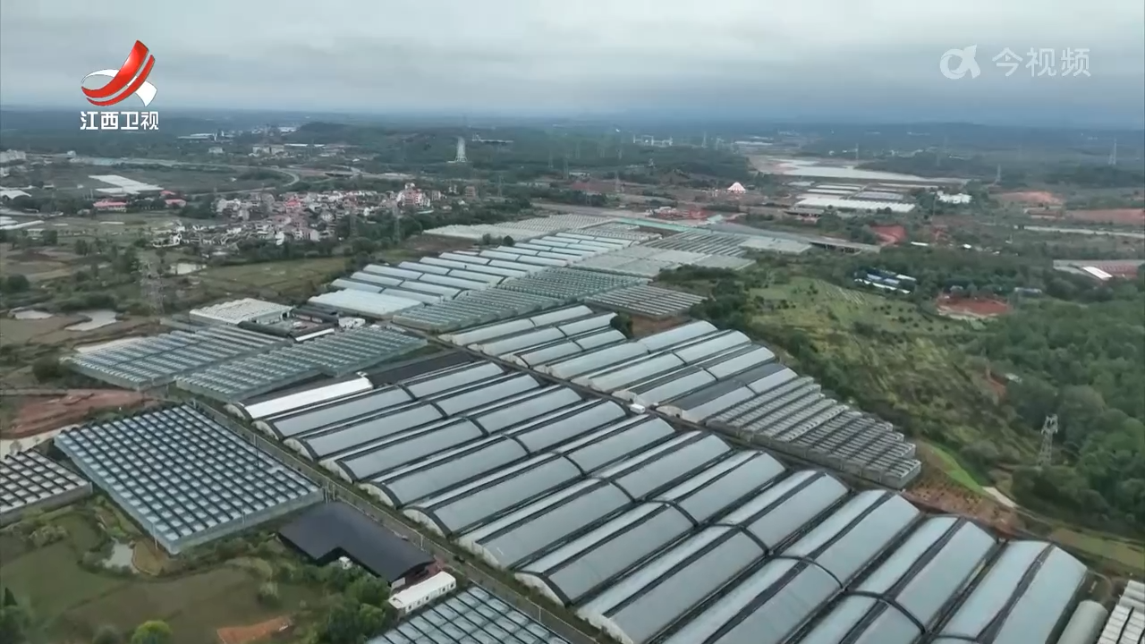 【做好“土特产”文章 建设现代化大产业】完善供应体系 推动赣字号农产品更好走出去