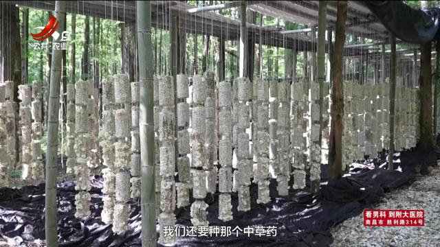 农问20250620