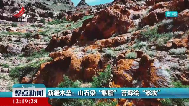 新疆木垒：山石染“胭脂” 苔藓绘“彩妆”