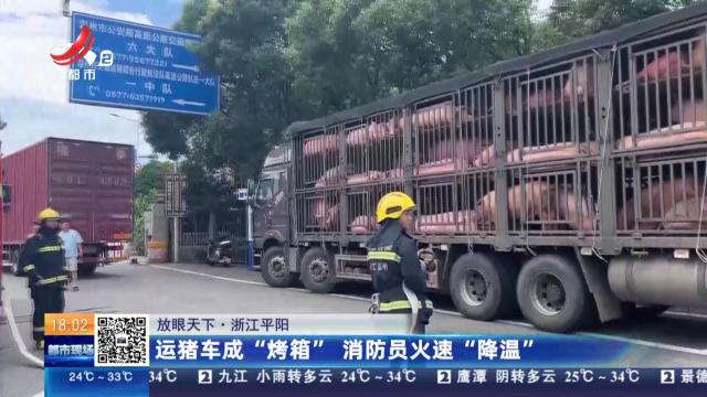 【放眼天下】浙江平阳：运猪车成“烤箱” 消防员火速“降温”