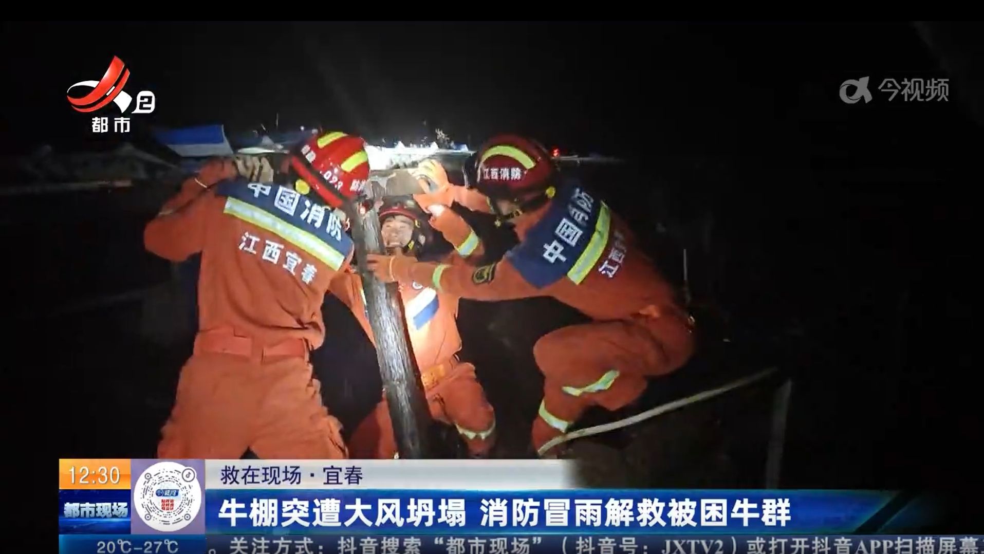 【救在现场】宜春：牛棚突遭大风坍塌 消防冒雨解救被困牛群
