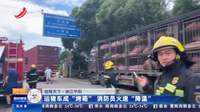 【放眼天下】浙江平阳：运猪车成“烤箱” 消防员火速“降温”