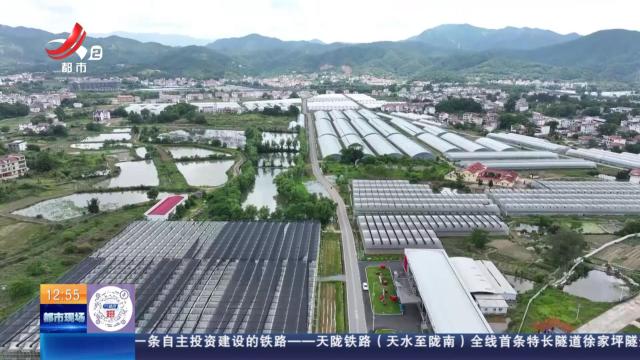 【赣闻天下】赣州于都：小番茄种出大产业 村民家门口赚大钱