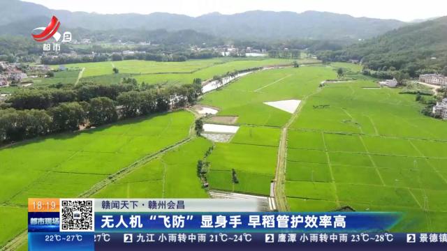 【赣闻天下】赣州会昌：无人机“飞防”显身手 早稻管护效率高