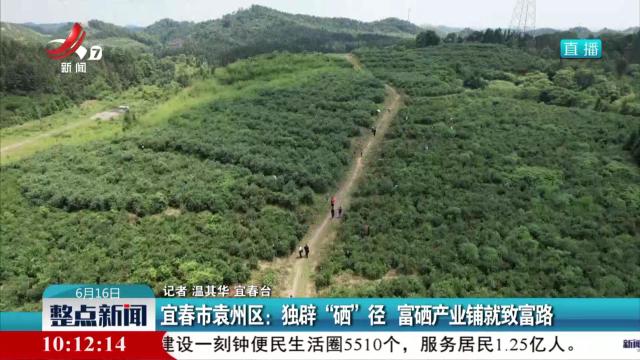 宜春市袁州区：独辟“硒”径 富硒产业铺就致富路