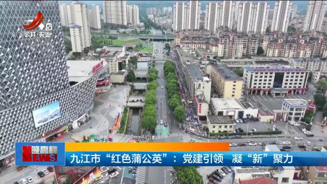 九江市“红色蒲公英”：党建引领 凝“新”聚力