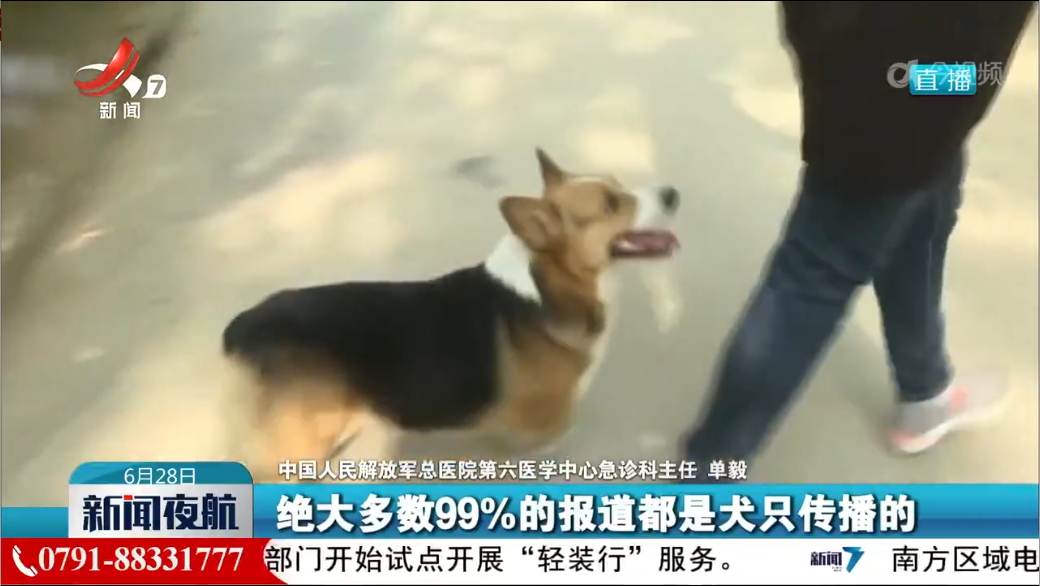 【关注夏季安全】狂犬病传播不止于“犬”