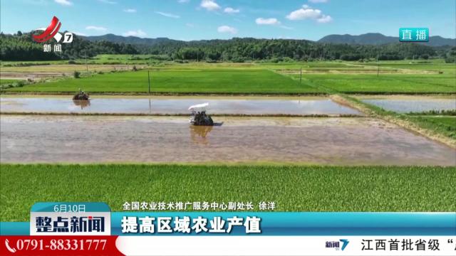 整点新闻20250610 10：00