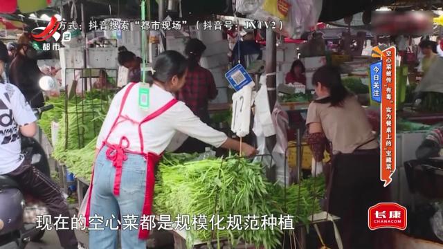 今日关注——空心菜被传“有毒” 实为餐桌上的“宝藏菜”