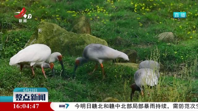 整点新闻20250623 16:00