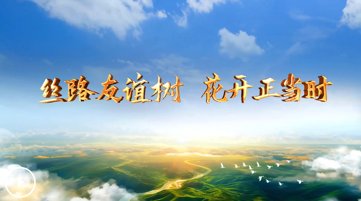 大道之行丨丝路友谊树 花开正当时