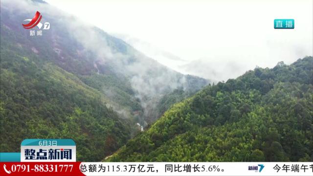 我省发现一新蜘蛛物种