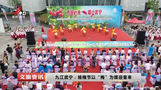 九江武宁：杨梅节以“梅”为媒迎客来