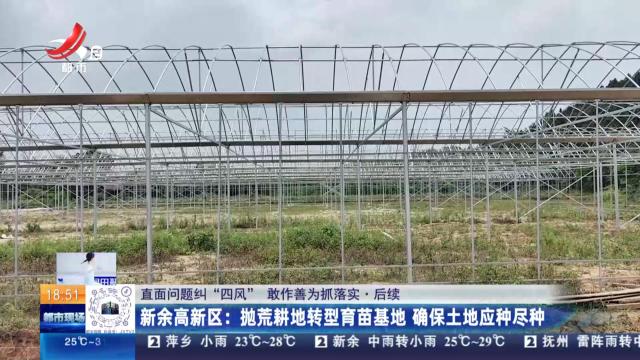 都市现场20250608