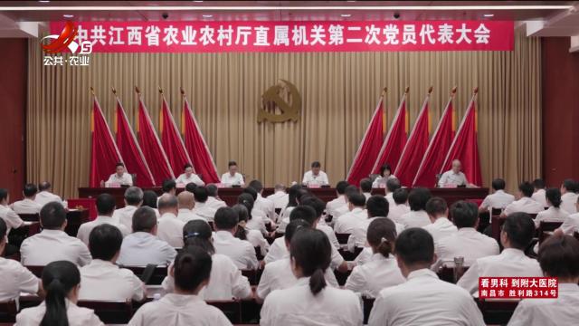 三农头条20250626