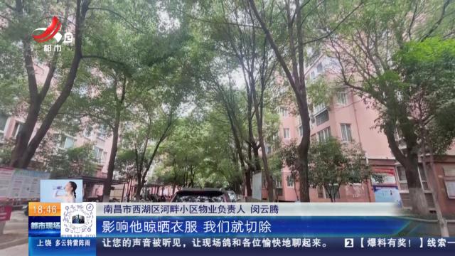 【赣问·民呼我为心连心】南昌西湖：树木太茂盛挡住阳光 相关部门作出回应