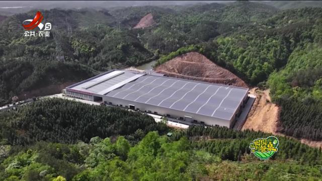 从田园到餐桌20250614