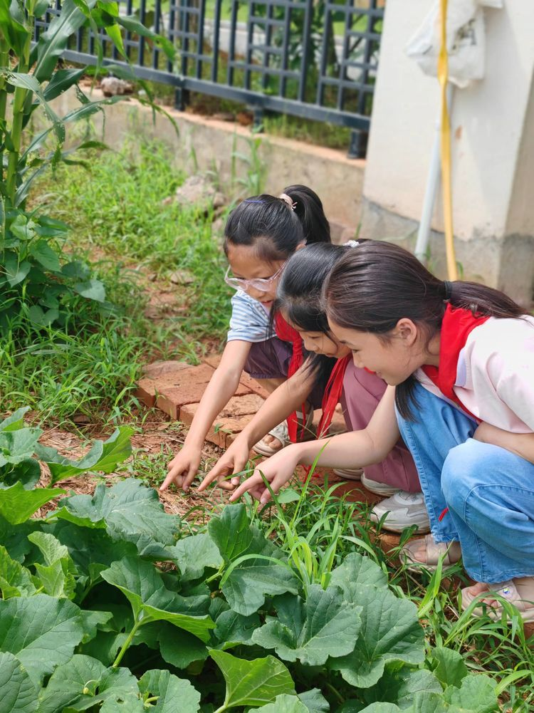 少年荷锄阡陌处 劳育无声沁心来——南城县登高学校开展校内劳动教育实践基地活动