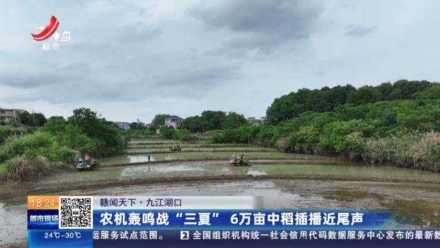 【赣闻天下】九江湖口：农机轰鸣战“三夏” 6万亩中稻插播近尾声