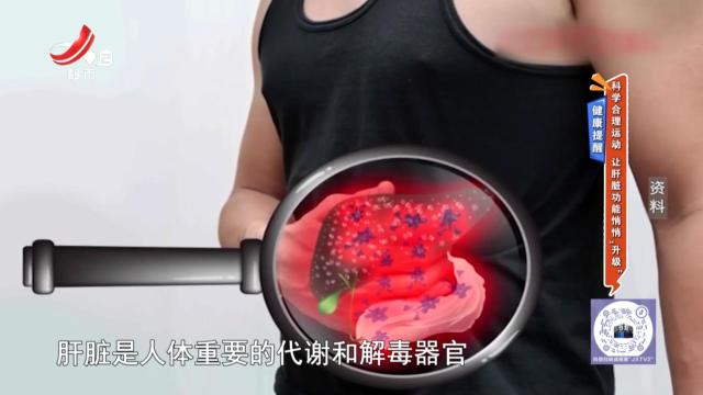 健康提醒：科学合理运动 让肝脏功能悄悄“升级”