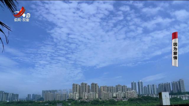 乡村栏目剧场20250615