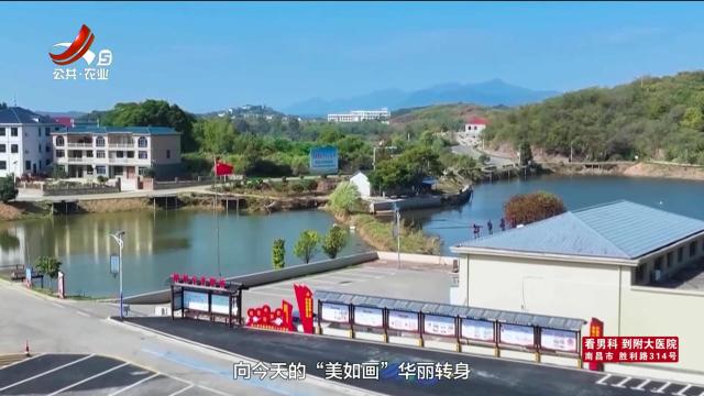 农问20250606