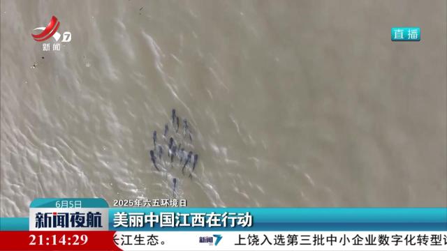 【2025年六五环境日】美丽中国江西在行动