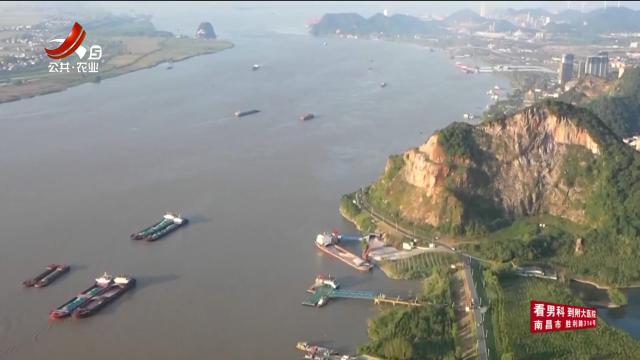 三农头条20250609
