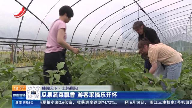 【赣闻天下】上饶鄱阳：瓜果蔬菜飘香 游客采摘乐开怀
