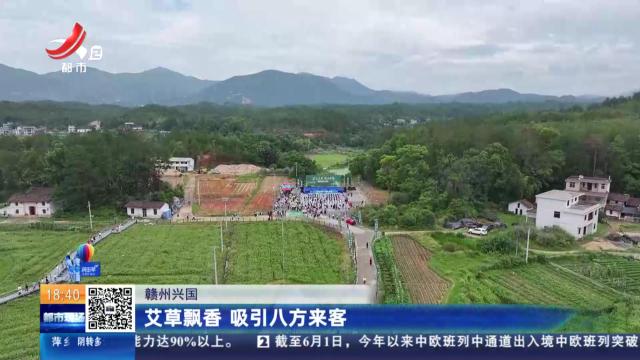 赣州兴国：艾草飘香 吸引八方来客